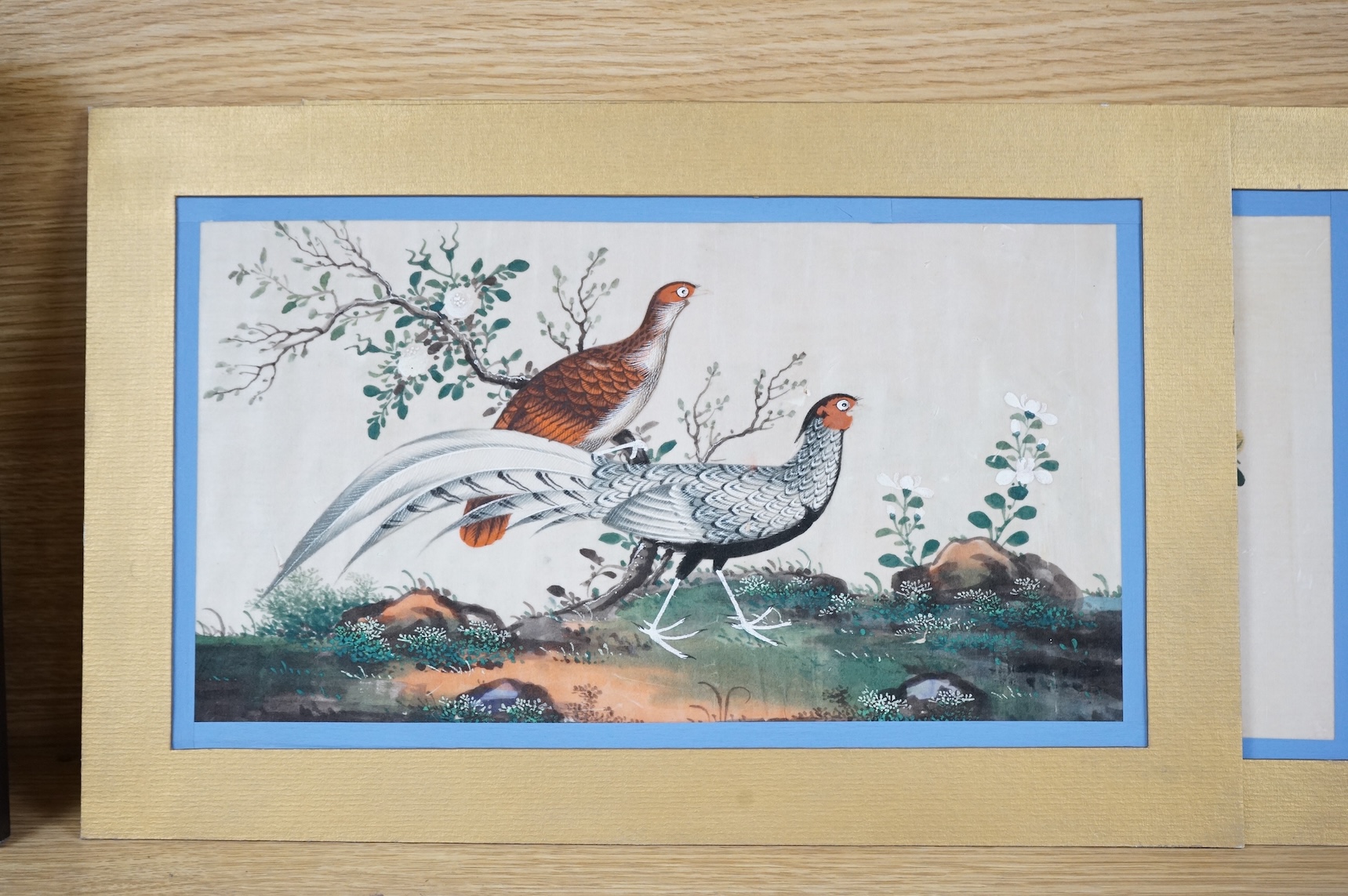 Chinese School, Birds of paradise, pair of pith paper paintings, 17 x 31cm, mounted but unframed